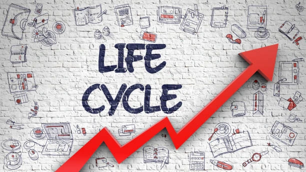 Marketing Strategy in Product Life Cycle