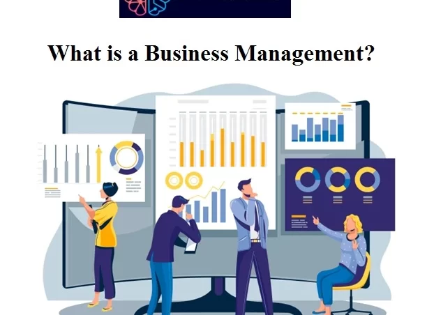 What is a Business Management