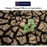 Climate Change Effects on Agriculture