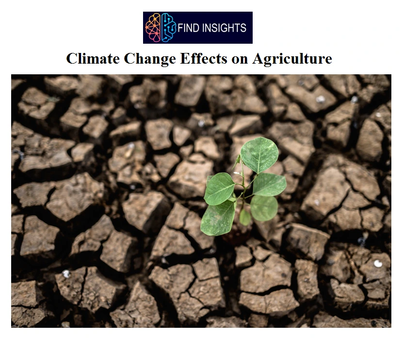 Climate Change Effects on Agriculture