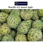 Benefits of Custard Apple