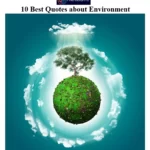 Quotes about Environment